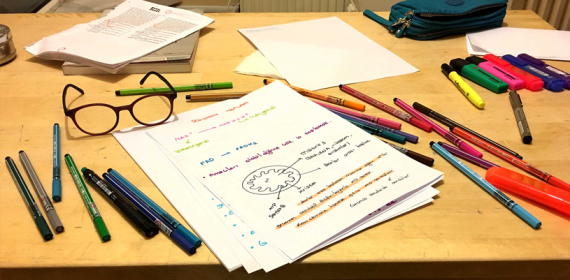 YKS İçin Çalışma Düzeni Nasıl Olmalı?